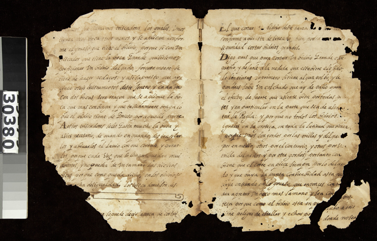 Manuscrito Vidrieras