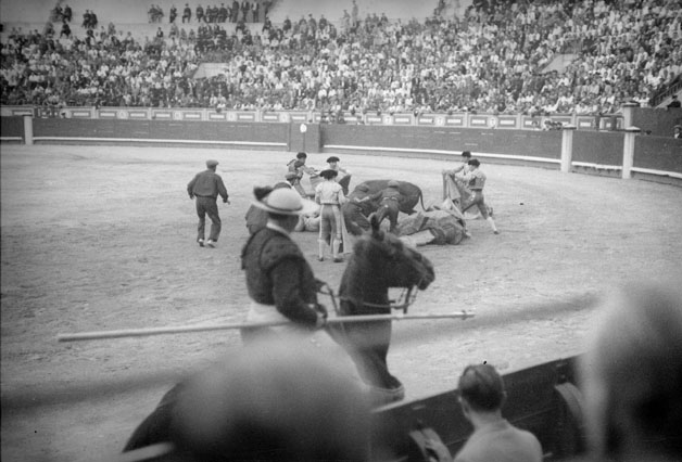 Caída del picador; monosabios y subtitleernos sujetando al toro, el 10-8-1939