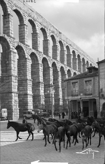 Segovia, vista del Acueducto y recua de yeguas, ca. 1932