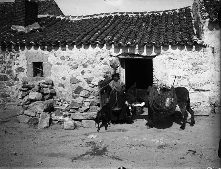 Mujer de verduras con burro y vista del pueblo (Guadarrama)