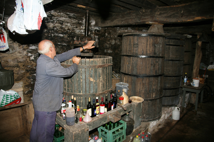 Proceso de elaboración tradicional del vino. Bodega familiar en Ibias (Asturias)